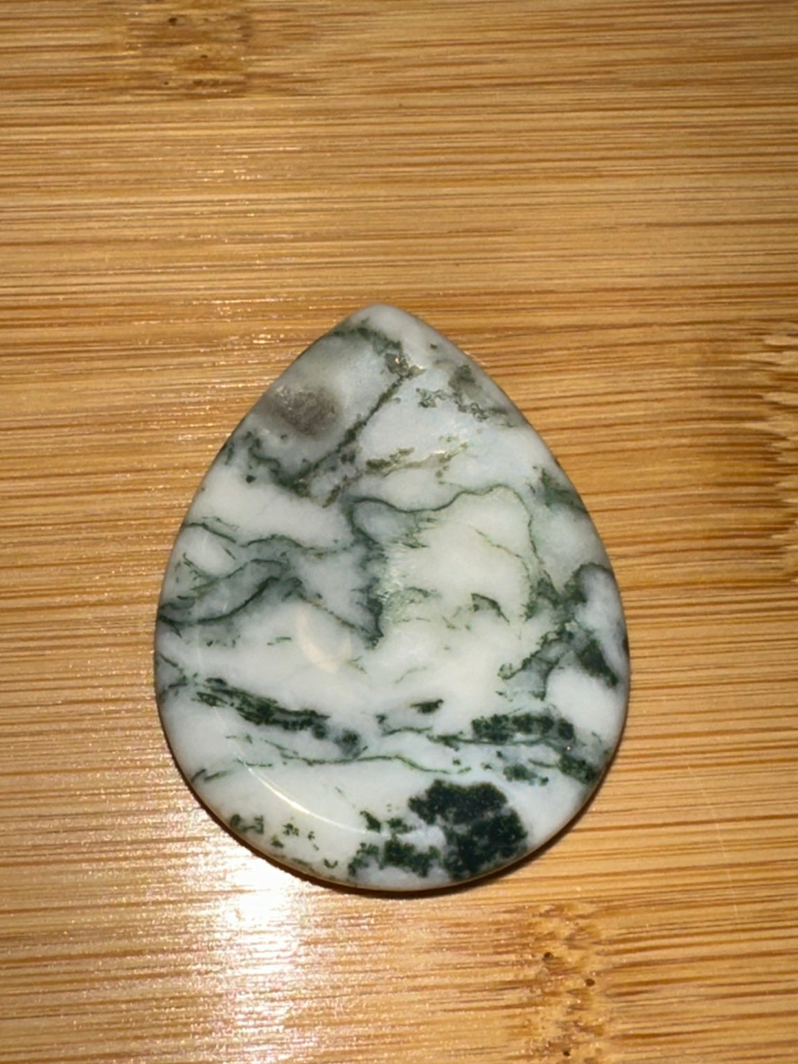 Tree Agate Teardrop Worry Stone 1