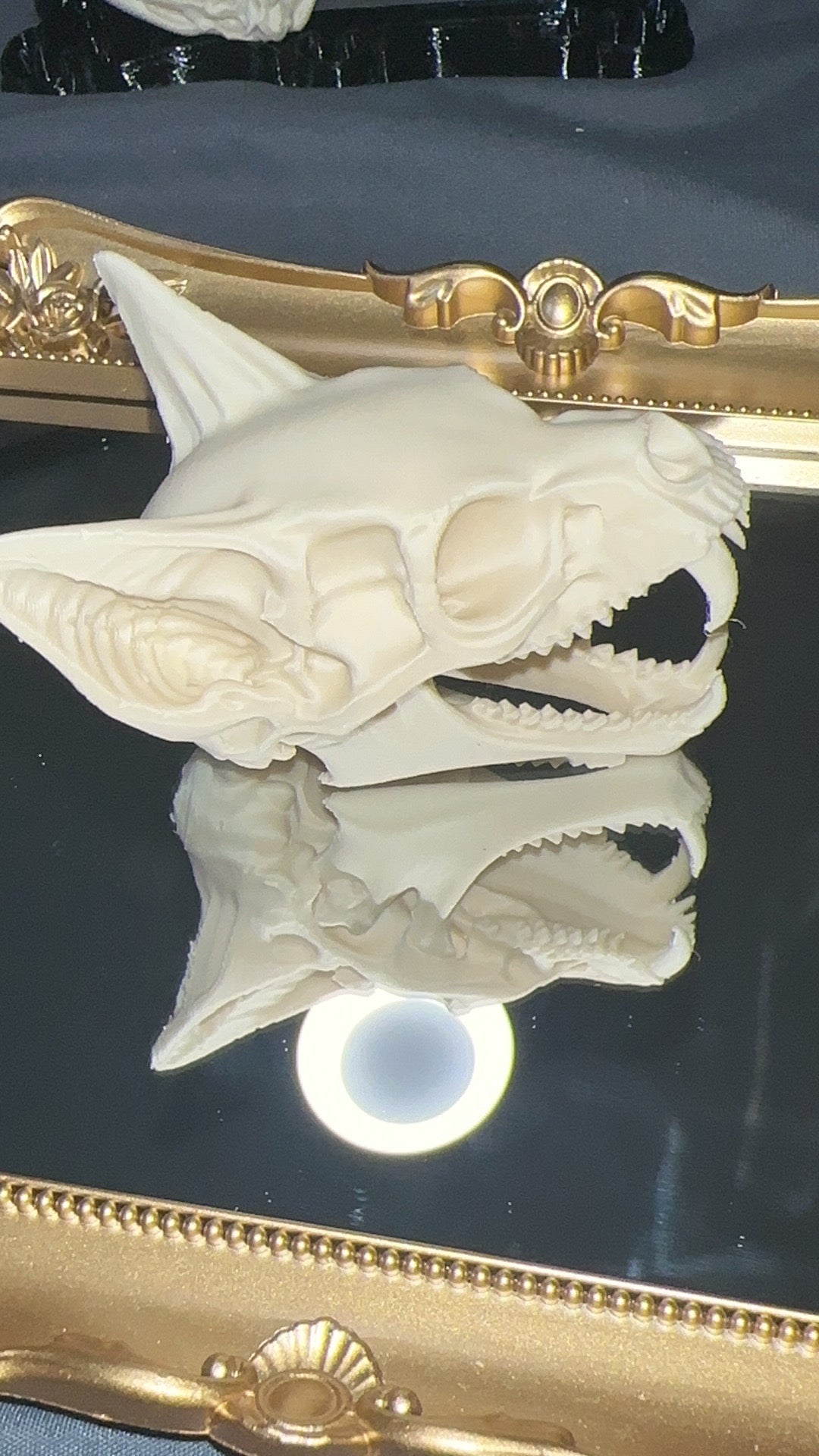 Large white bone style 3D printed bat skull side view